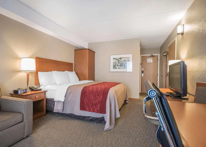 Comfort Inn