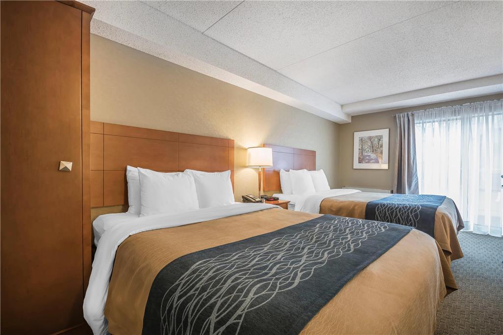 Comfort Mini-hôtel 3*