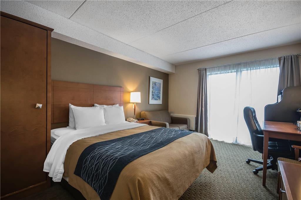 Comfort Mini-hôtel 3*