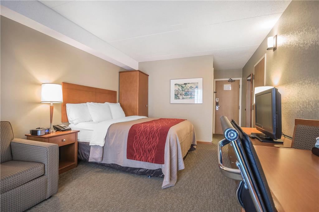 Comfort Mini-hôtel 3*